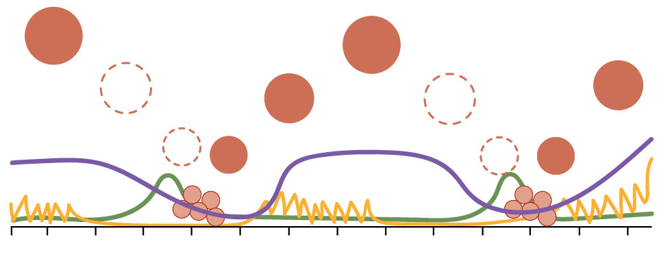 Graph with red circles, yellow circles, a green line, a purple line, and a yellow line representing reproductive fertilization.